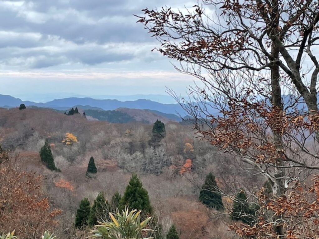 すずのこ平~大杉線