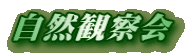 自然観察会